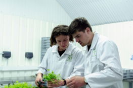 2 men in white dress shirt holding green plant